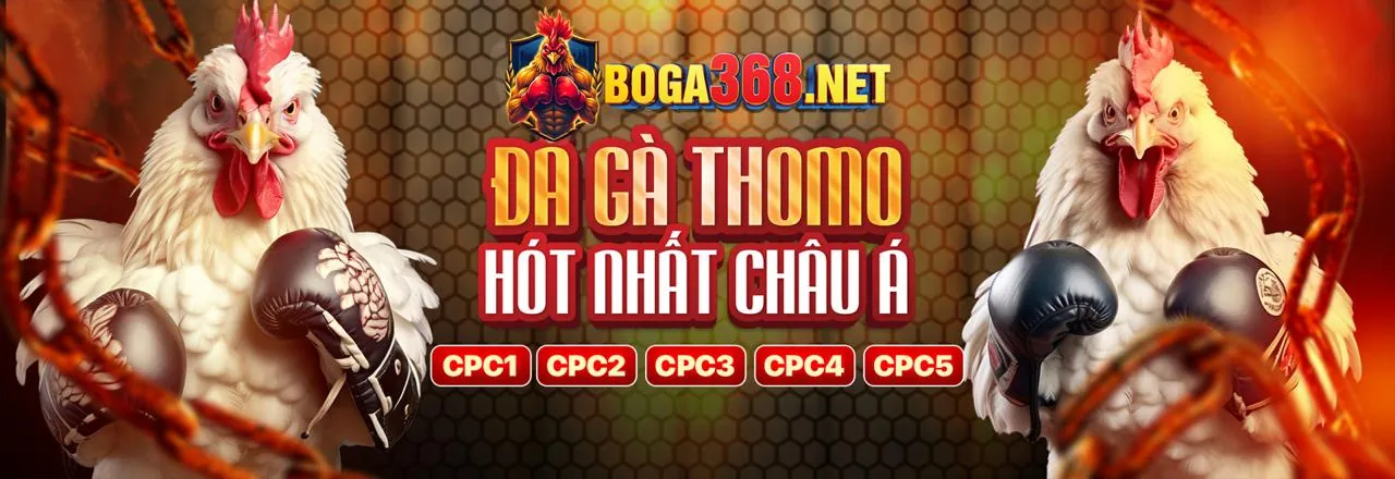 Đá Gà Sabong 67 – Sân Chơi Hấp Dẫn