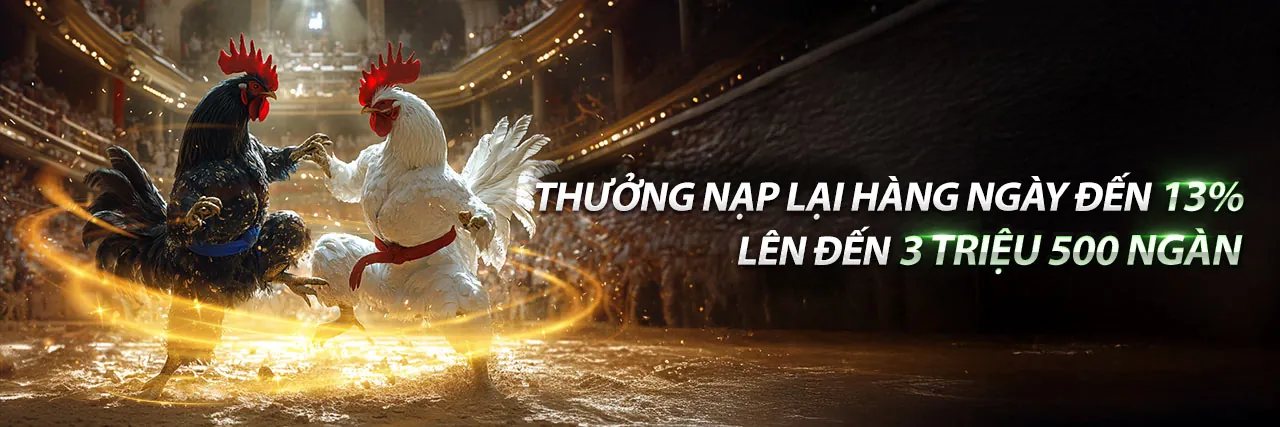 Lịch Thi Đấu Đá Gà Sabong 67