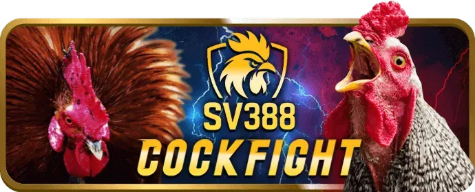 Gà Nòi Việt Nam
